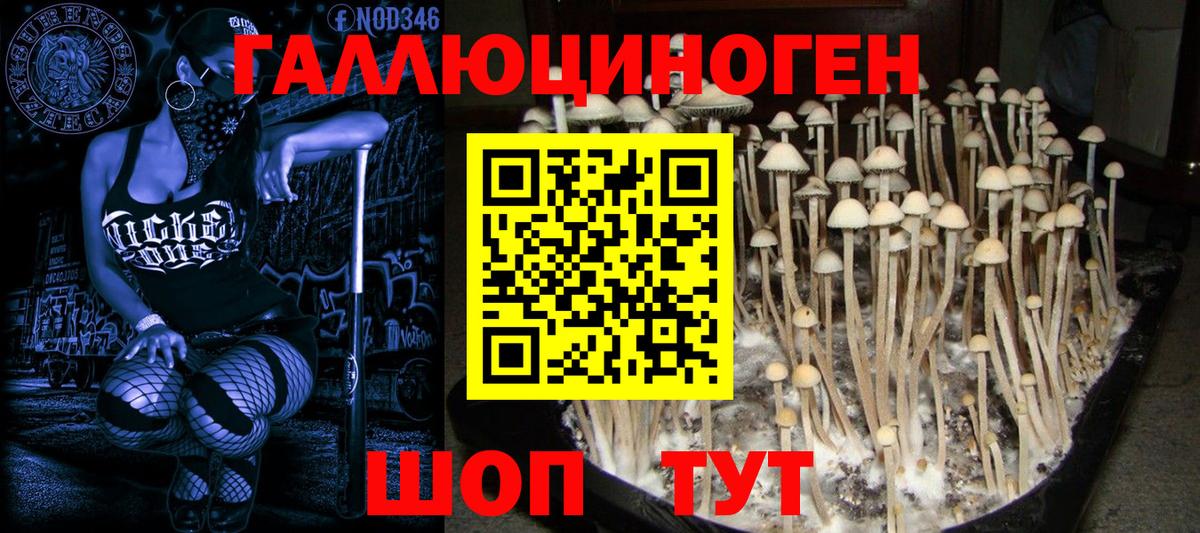 Галлюциногенные грибы Magic Shrooms Мурманск