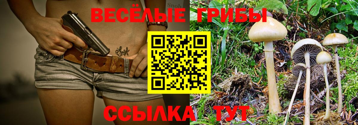 Мурманск  Галлюциногенные грибы Psilocybe  закладки  Вход с VPN 